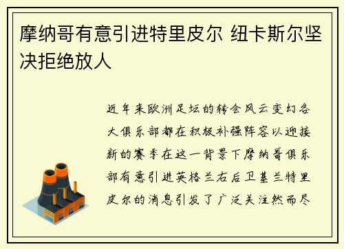 摩纳哥有意引进特里皮尔 纽卡斯尔坚决拒绝放人